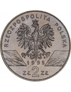 Awers monety 2 zł 1995 Zwierzęta świata: Sum łac Silurus glanis 2