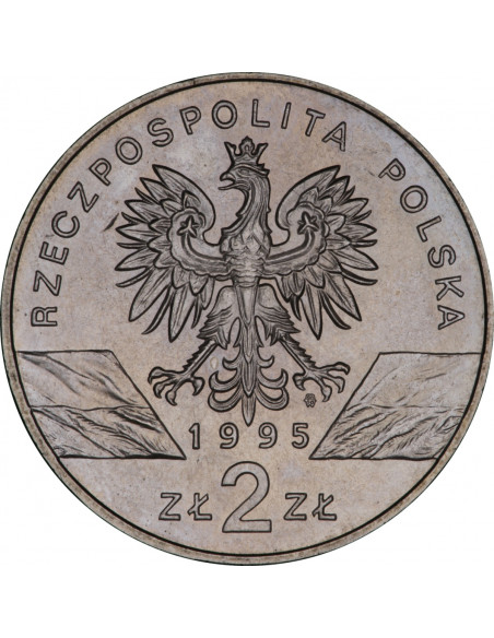 Rewers monety 2 zł 1995 Zwierzęta świata: Sum łac Silurus glanis