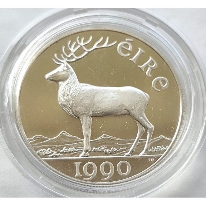 Moneta Irlandia 1 Funt 1990