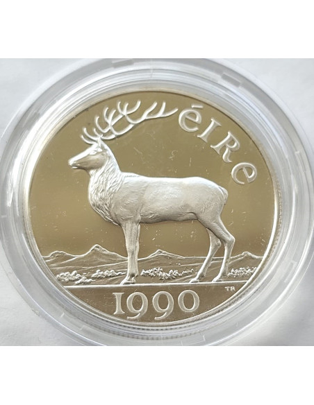 Moneta Irlandia 1 Funt 1990