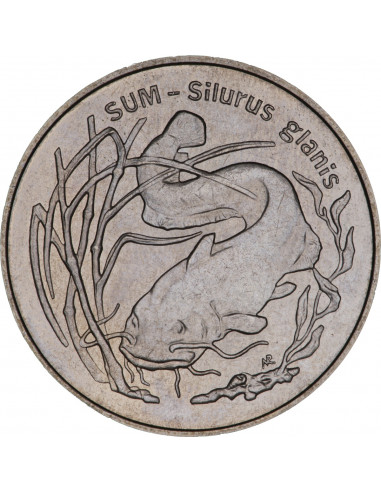 Awers monety 2 zł 1995 Zwierzęta świata: Sum łac Silurus glanis