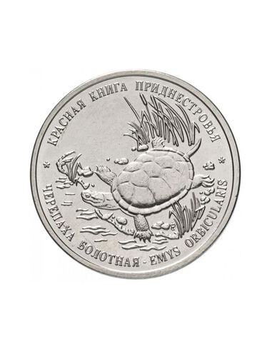Awers monety Naddniestrze 1 Rubel 2018 Żółw błotny