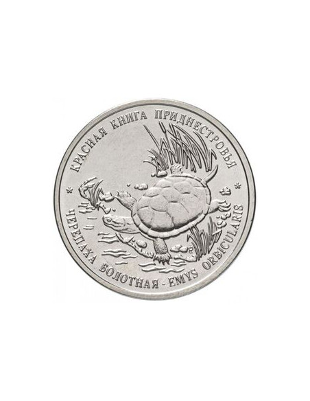 Awers monety Naddniestrze 1 Rubel 2018 Żółw błotny