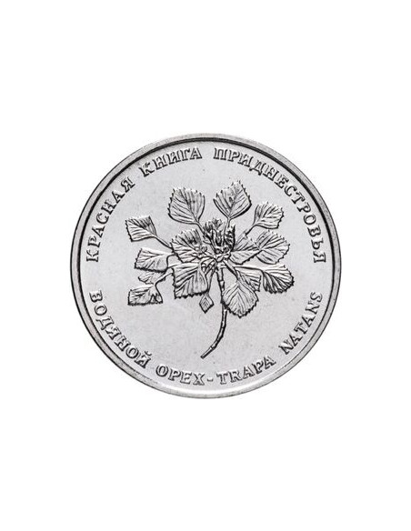 Awers monety Naddniestrze 1 Rubel 2019 Czerwona Księga Naddniestrza. Flora