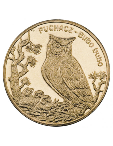 Awers monety 2 zł 2005 Zwierzęta świata: Puchacz łac. Bubo bubo