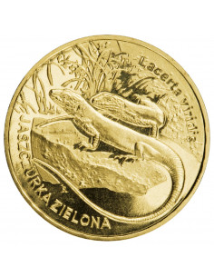 Awers monety 2 zł 2009 Zwierzęta Świata: Jaszczurka zielona łac. Lacerta viridis