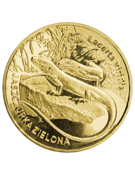 Awers monety 2 zł 2009 Zwierzęta Świata: Jaszczurka zielona łac. Lacerta viridis