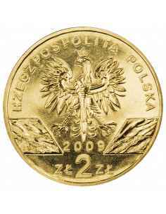Awers monety 2 zł 2009 Zwierzęta Świata: Jaszczurka zielona łac. Lacerta viridis 2