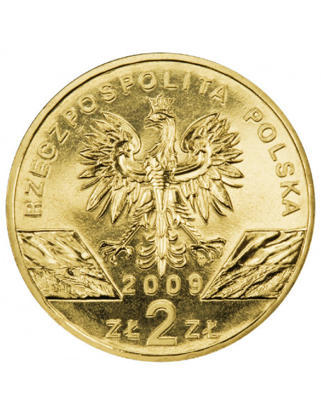 Rewers monety 2 zł 2009 Zwierzęta Świata: Jaszczurka zielona łac. Lacerta viridis