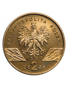 Awers monety 2 zł 1997 Zwierzęta świata: Jelonek rogacz łac. Lucanus cervus 2