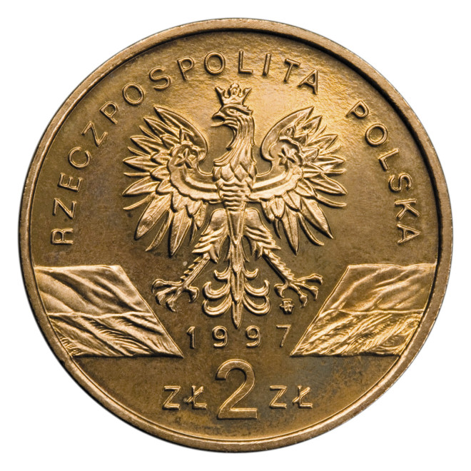 Rewers monety 2 zł 1997 Zwierzęta świata: Jelonek rogacz łac. Lucanus cervus