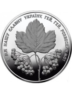 Awers monety 5 Hrywien 2022 Och czerwona róża kalina na łące