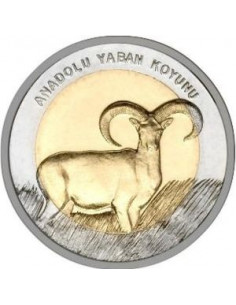 Awers monety Turcja 1 Lira 2015 Muflon