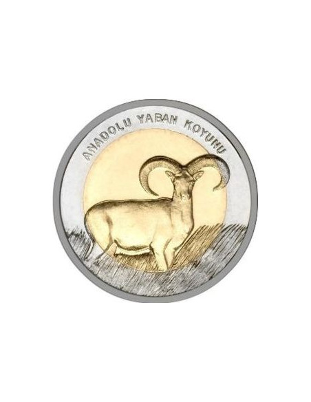 Awers monety Turcja 1 Lira 2015 Muflon