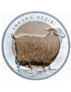 Awers monety Turcja 1 Lira 2015 Koza angorska