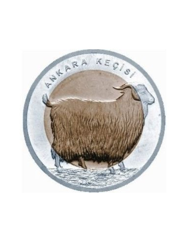 Awers monety Turcja 1 Lira 2015 Koza angorska