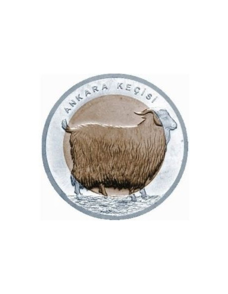 Awers monety Turcja 1 Lira 2015 Koza angorska