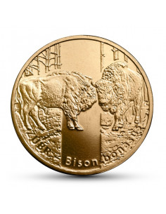 Awers monety 2 zł 2013 Zwierzęta świata – żubr