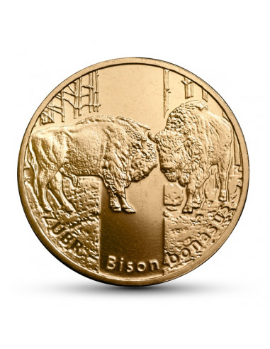 Awers monety 2 zł 2013 Zwierzęta świata – żubr