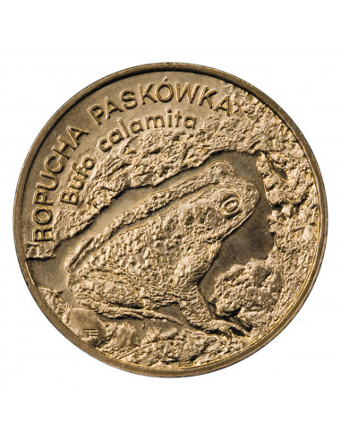 Awers monety 2 zł 1998 Zwierzęta świata: Ropucha paskówka