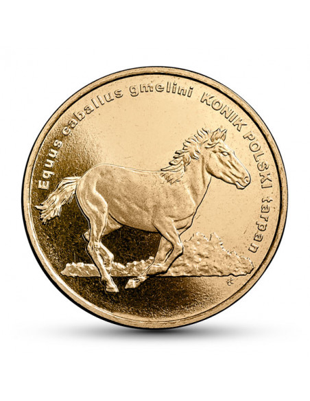 Awers monety 2 zł 2014 Zwierzęta Świata – konik polski